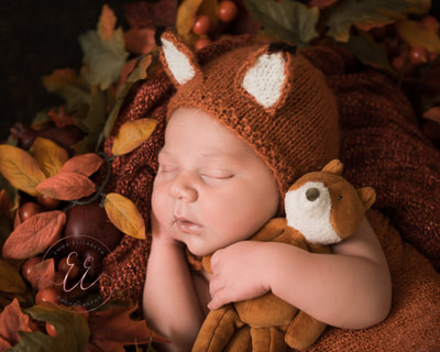 Fox theme newborn baby shoot. Autumn shoot. Newborn photography in St Neots, Huntingdon, Cambridgeshire