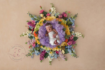 newborn baby girl in flowers. Newborn photography in St Neots, Huntingdon, Cambridgeshire